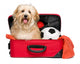 Happy reddish Bichon Havanese dog in a red traveling suitcase Wall Decal