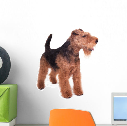 Welsh Terrier Wall Decal