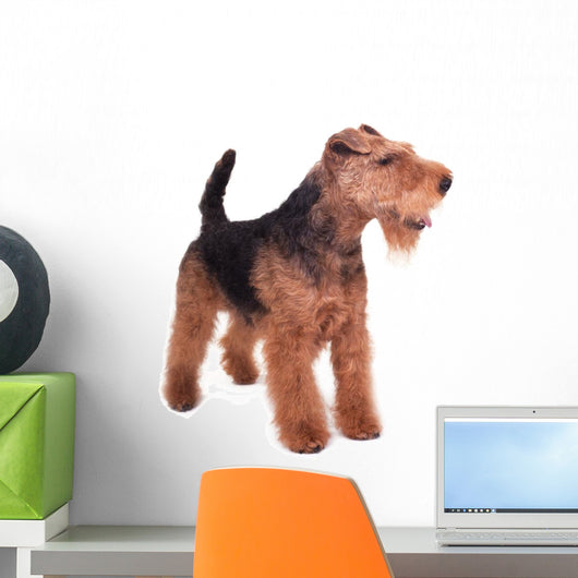 Welsh Terrier Wall Decal