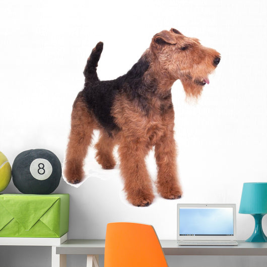 Welsh Terrier Wall Decal