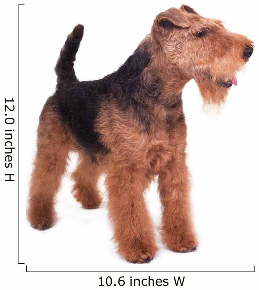 Welsh Terrier Wall Decal