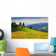 Beautiful Summer Landscape Carpathian
