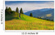 Beautiful Summer Landscape Carpathian