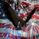 eagle over fireworks and usa flag Wall Mural