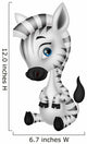Cute Baby Zebra