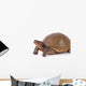 Box Turtle Wall Decal