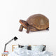 Box Turtle Wall Decal