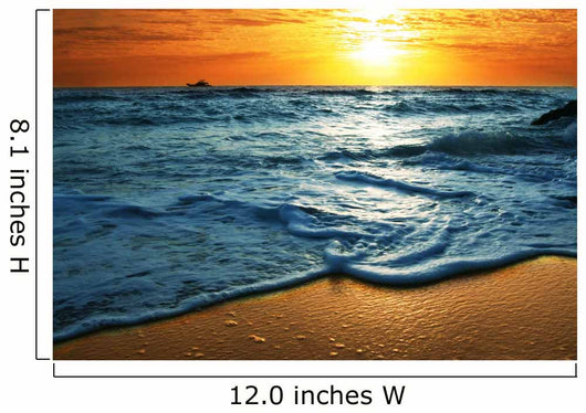 Sea coast Wall Mural