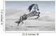 Picture Presenting Galloping White