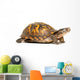 Eastern Box Turtle Wall Decal