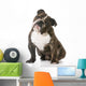 English Bulldog Wall Decal