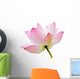 Pink Waterlily Lotus Flower Wall Decal