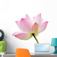 Pink Waterlily Lotus Flower Wall Decal