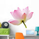 Pink Waterlily Lotus Flower Wall Decal