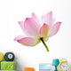 Pink Waterlily Lotus Flower Wall Decal
