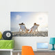 romantic couple on deckchair relaxing on the beach Wall Mural