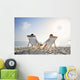 romantic couple on deckchair relaxing on the beach Wall Mural