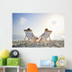 romantic couple on deckchair relaxing on the beach Wall Mural