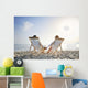 romantic couple on deckchair relaxing on the beach Wall Mural