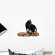 Black Bombay Cat Wall Decal