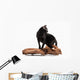 Black Bombay Cat Wall Decal