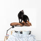 Black Bombay Cat Wall Decal