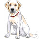 Vector Sketch Yellow Dog Wall Decal