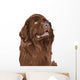 Vector Sketch Dog Newfoundland Wall Decal
