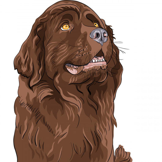 Vector Sketch Dog Newfoundland Wall Decal