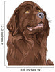 Vector Sketch Dog Newfoundland Wall Decal
