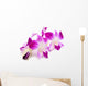 Beautiful Blooming Orchid