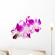 Beautiful Blooming Orchid