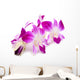 Beautiful Blooming Orchid