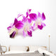Beautiful Blooming Orchid