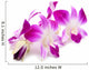 Beautiful Blooming Orchid