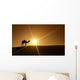 Silhouette of a camel walking alone in the Dubai desert Wall Mural