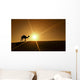 Silhouette of a camel walking alone in the Dubai desert Wall Mural