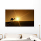 Silhouette of a camel walking alone in the Dubai desert Wall Mural