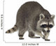raccoon (9 months) -  Procyon lotor Wall Decal