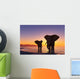 Elephants Beach