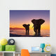 Elephants Beach