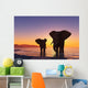 Elephants Beach