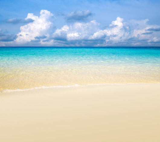 Tropical Sea