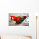Parrot Wall Mural