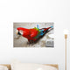 Parrot Wall Mural
