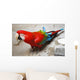 Parrot Wall Mural