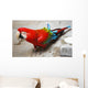 Parrot Wall Mural