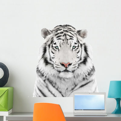 White Tiger shown on a wall