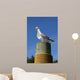 Seagull Mat