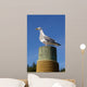 Seagull Mat